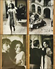 Glamorous Italian Beauty SOPHIA LOREN 1960s VINTAGE Original Photos 14x9.5 Lot-8 picture