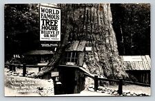 c1948 RPPC World Famous Tree House Lilley Redwood Park CA Vintage Postcard w Msg picture