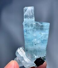 142 Carat DT Aquamarine Crystal With Schorl Spray Specimen From Shigar Pakistan picture
