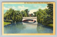 Rochester NY-New York, Beauty Spot In Genesee Valley Park, Vintage Postcard picture