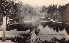 UPICK POSTCARD Looking Down the Infant Mississippi Itasca State Park MN RPPC  picture