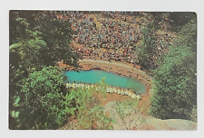 The Mountain Laurel Festival Pine Mountain State Park Pineville KY Postcard picture