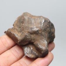 209g Gebel Kamil Iron Meteorite Meteor Shrapnel C6340 picture
