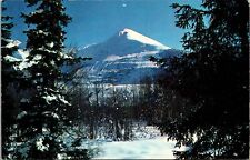 ALASKA-Beautiful Chugach Mountains Girwood Seward Anchorage Highway Postcard picture