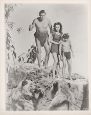Tarzan Johnny Weissmuller Maureen O'Sullivan Johnny Sheffield & lions 8x10 photo picture