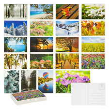 40 Pack Blank Nature Postcards Bulk for Mailing, 20 Nature Designs, 4x6 in picture