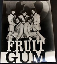 1910 Fruitgum Company Photo Official Pictorial Press Promotion Circa Late 60s picture
