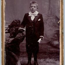 c1880s Verviers, Belgium Handsome Young Man w/ Book CdV Photo Card Trad H14 picture