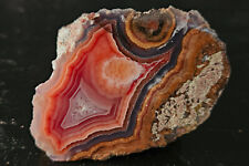 BEAUTIFUL Polished Laguna Agate with Sagenite Collector Specimen, Mexico picture