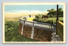 Montreal Canada Mount Royal Scenic Lookout Horses Skyline WB Postcard picture