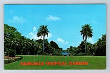 Miami FL-Florida, Fairchild Tropical Garden, Antique, Vintage Postcard picture