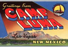Camp Luna Air Transport Las Vegas New Mexico Large Letter Linen Postcard NM picture