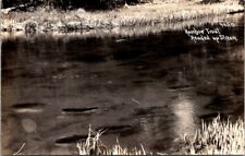 RPPC Postcard Rainbow Trout Swimming Up Stream Patterson c.1904-1950       12244 picture