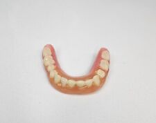 Vintage Dentures Full Upper Dental Collectible Oddity Creepy Weird Display picture