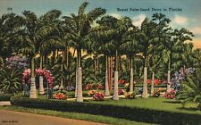 Vintage Postcard 1941 Royal Palm-Lined Drive Landscaped Flower Gardens Florida picture