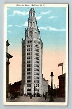 Buffalo NY-New York, Electric Building, Street View, Vintage Postcard picture