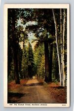 Grand Canyon AZ-Arizona, The Kaibab Forest, North Rim, Antique Vintage Postcard picture