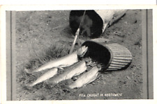 Vintage Fish Caught in Northwest RPPCU.S. Forest Svc. Photo by NW Mag. Dist. A10 picture