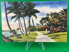 Vintage Postcard Lake Trail Palm Beach Florida Postmarked Vero Beach 1951 picture
