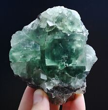 353g NATURAL Transparent Green Cubic FLUORITE Crystal Cluster Mineral  Specimen picture