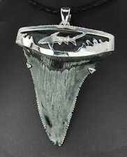 Fossil Shark Tooth Pendant – Megalodon Tooth with Sterling Silver Cap, Meg Teeth picture