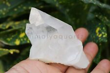 190 gm Clear White Natural Himalayan Quartz Crystal Minerals Raw Specimen Decor picture