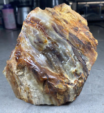 Opalized Petrified Wood 3lb 13oz Display Specimen From Oregon's Blue Mountains picture