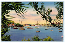 1955 View of Hamilton Harbour Bermuda from Red Hole Paget Shore Postcard picture