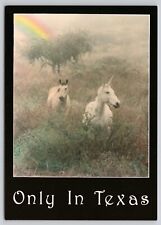 Unicorn Only in Texas Horse Rainbow Fantasy Postcard picture