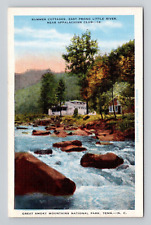 Postcard Summer Cottages East Prong Little River Smoky Mtns, Vintage Linen O2 picture