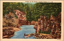 AuSable Chasm NY-New York, Looking Up The Rapids, Vintage Postcard picture