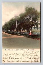 Paris MI-Michigan, The Willows, State Fish Hatchery, Vintage c1907 Postcard picture