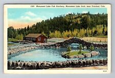 Trinidad CO-Colorado, Monument Lake Fish Hatchery, Antique Vintage Postcard picture