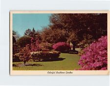 Postcard Colorful Southern Garden, Sunny South picture