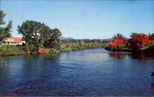 Jackman Maine ME Moose River ~ 1970s vintage postcard picture