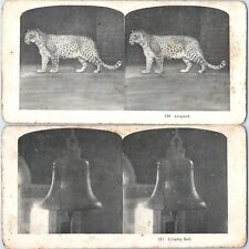 c1900s Philadelphia Liberty Bell / Leopard Cat Double 2 Sided Stereoview V42 picture