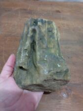 Petrified Wood Found Arkansas  picture