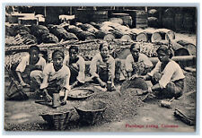 Colombo Sri Lanka Postcard Women Plumbago Curing Scene c1910 Unposted picture