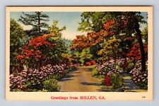 Millen GA-Georgia, Scenic Road General Greetings, Antique, Vintage Postcard picture