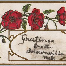 c1910s Brownville, Neb. Greetings Postcard Handmade Mica Glitter Welcome A175 picture