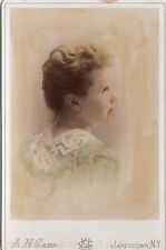 Antique Cabinet Card Tinted Photo Young Victorian Woman Jamestown New York 1889 picture