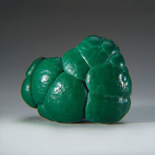 Botryoidal Malachite From Shaba Copper Belt, Democratic Republic of the Congo picture