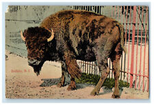 1910 Buffalo Scene, Buffalo New York NY Posted SO Farnum and Son Co. Postcard picture