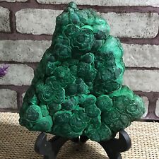 Natural glossy Malachite transparent cluster rough mineral sample 1281g d76 picture