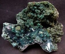 STUNNING MARSHY GREENBROWND APOPHYLLITE CRYSTALS ON GREEN CORAL CHALCEDONY BASE picture