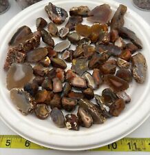 Big Plate Of Cut Malawi Agates.  -Rock Daddy- picture