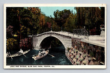 WB Postcard Peoria IL Illinois Glen Oak Park Lake & Bridge Row Boats picture