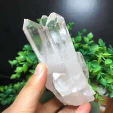 335g  Natural Clear White Quartz Crystal Cluster Rough Healing Specimen 48 picture