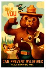 Glacier National Park Montana Smokey Bear Only You Oil Painting postcard picture