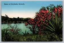 Scene at Fairylands. Bermuda Vintage Postcard picture